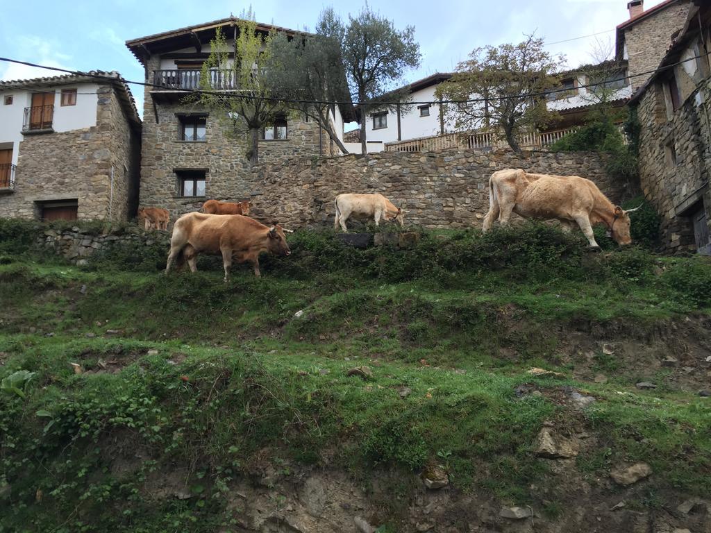 Casa Tia Upe Villa San Román de Cameros Buitenkant foto